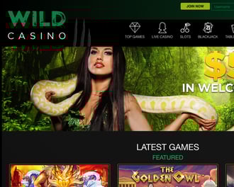 Wild Casino