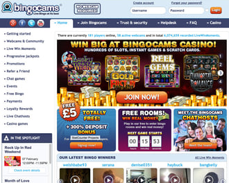 Bingo cams