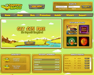 Snappy Bingo