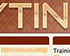 PlayTin