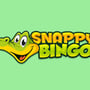 Snappy Bingo